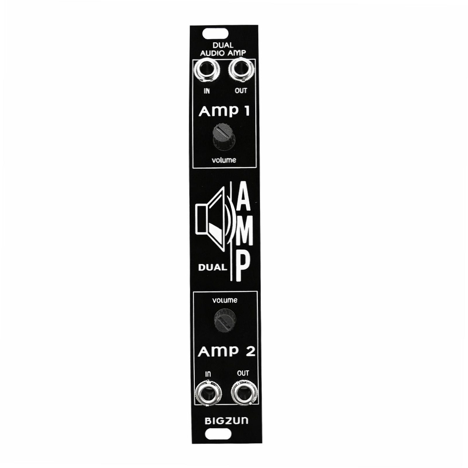Dual Audio Amp — photo 2