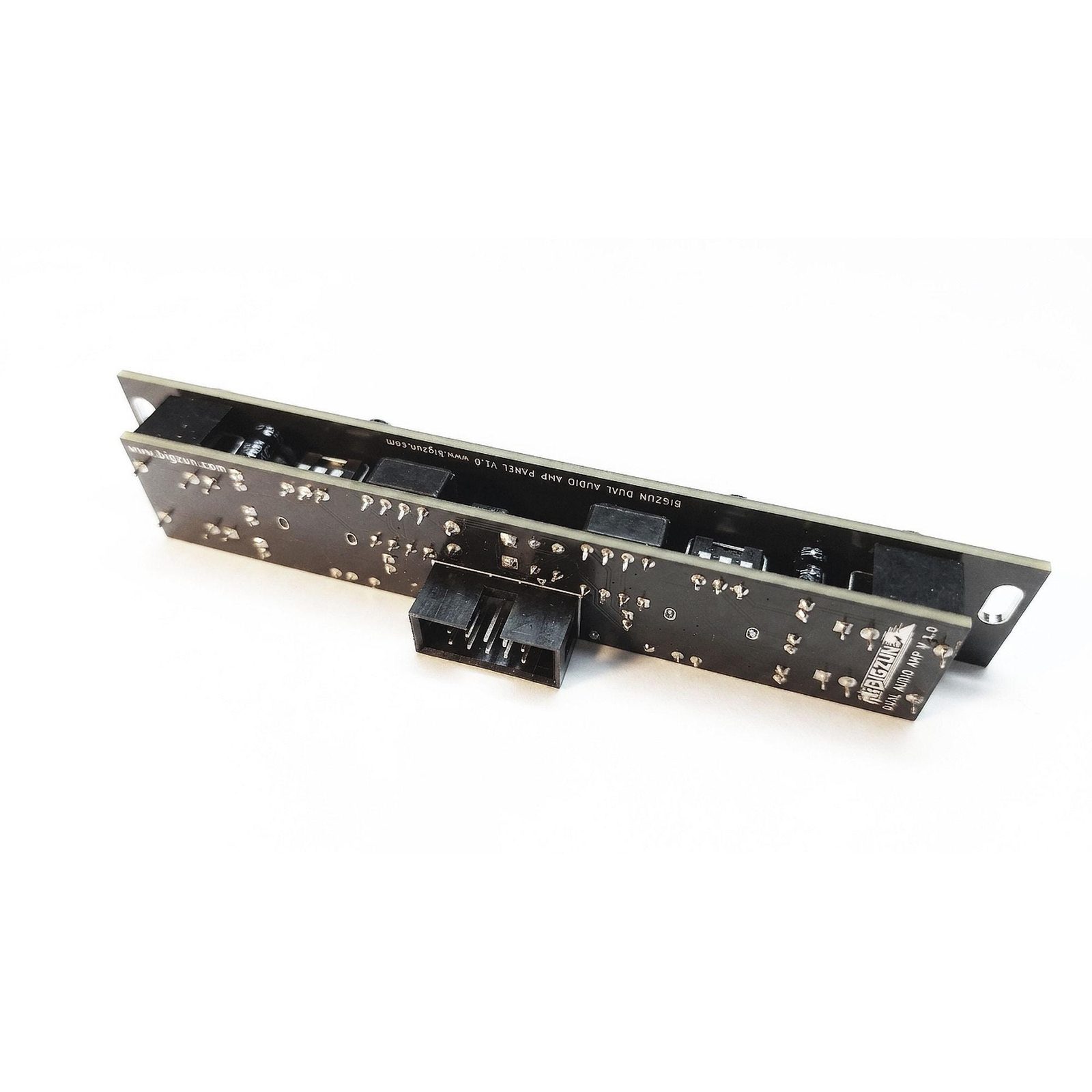 Dual Audio Amp — photo 4